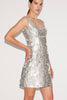 TRISTAN DRESS SILVER JACQUARD