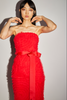MONICA DRESS CRIMSON RED EMBROIDERED TULLE