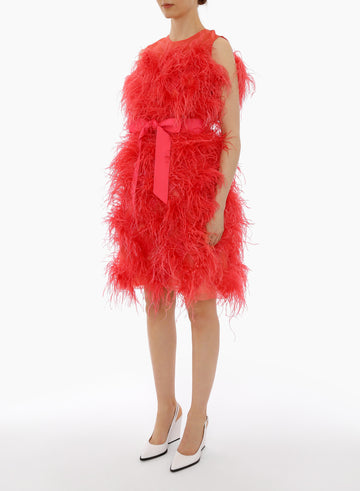 HALLE DRESS SUGAR CORAL ORGANZA